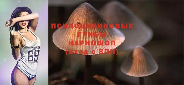 ешки Абаза