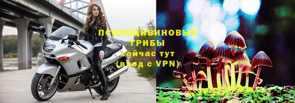 а пвп мука Осинники